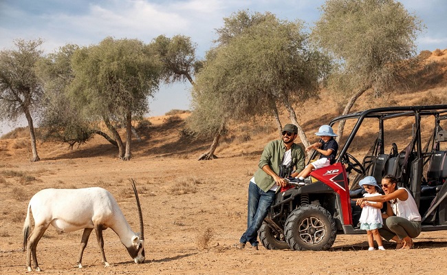 30-minute Dune Buggy Evening Desert Safari